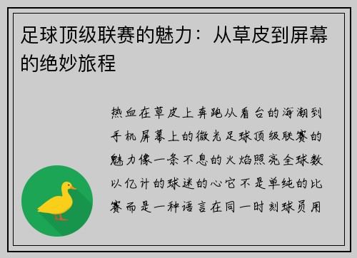 足球顶级联赛的魅力：从草皮到屏幕的绝妙旅程